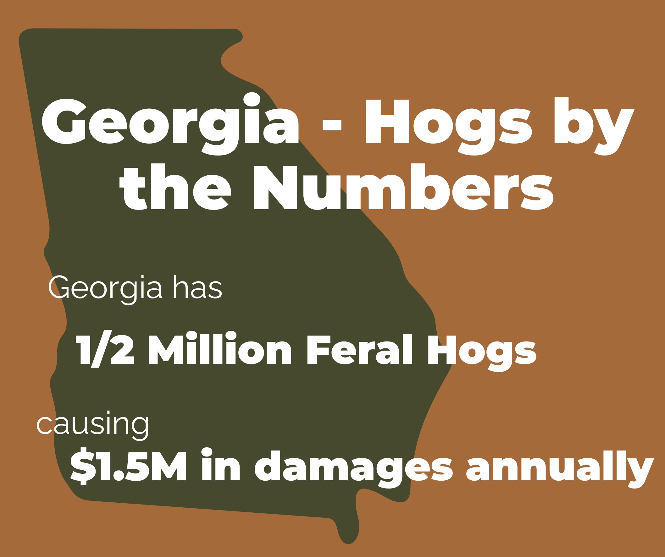 Hog Trap in Georgia Hog Trap in Georgia