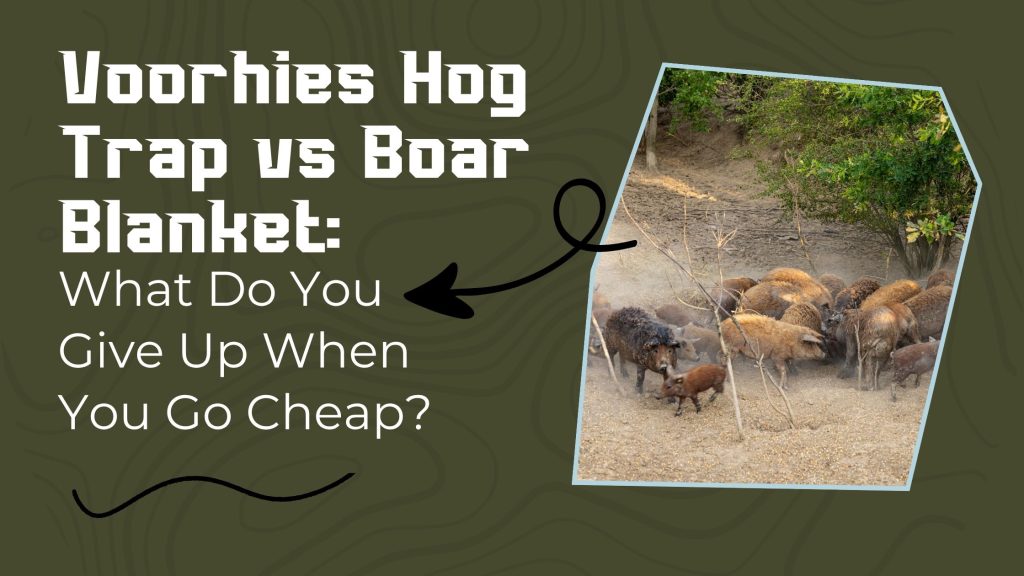 Voorhies Hog Trap vs Boar Blanket