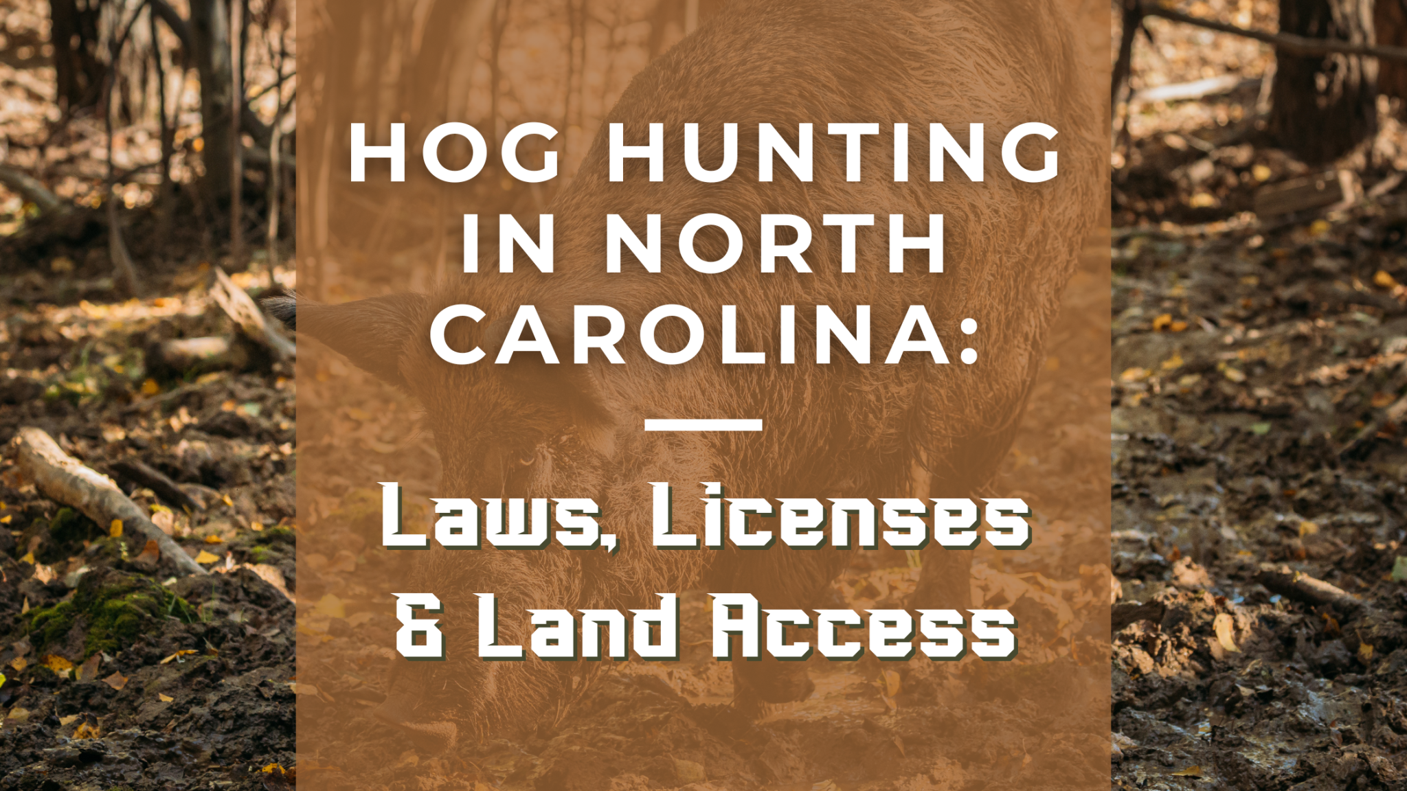 Out Of State Hunting License North Carolina