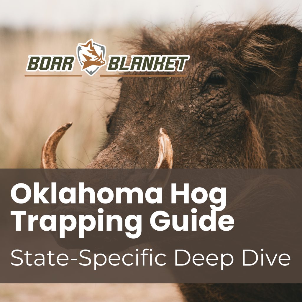 Oklahoma Hog Trapping Guide - State Specific Deep Dive