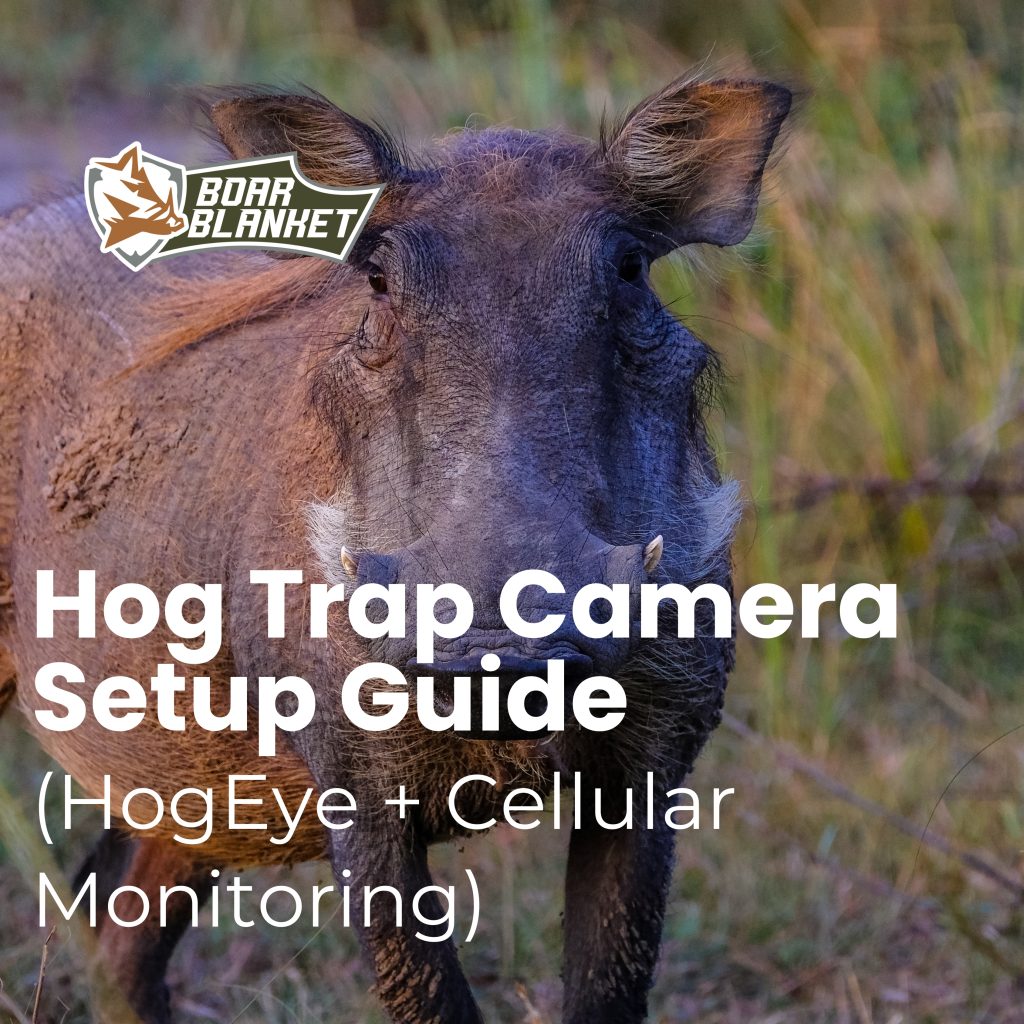 Hog Trap Camera Setup Guide