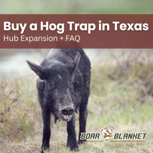 Black hog standing in a grassy field with a maroon banner across the top that reads 'Buy a Hog Trap in Texas' and a Boar Blanket logo in the bottom-right.