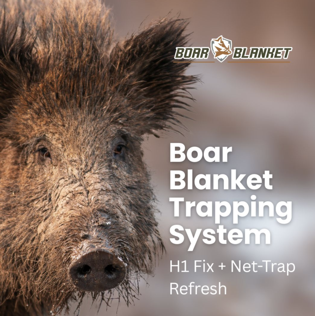 Close-up of a boar with product name 'Boar Blanket Trapping System' and logo, advertising H1 Fix + Net-Trap Refresh.