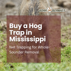 Advertisement for Boar Blanket offering hog traps in Mississippi, with a hog in a grassy field and bold white text overlay