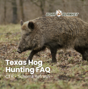 Wild boar walking through a leaf-covered forest with the text 'Texas Hog Hunting FAQ' and the Boar Blanket logo overlaid.