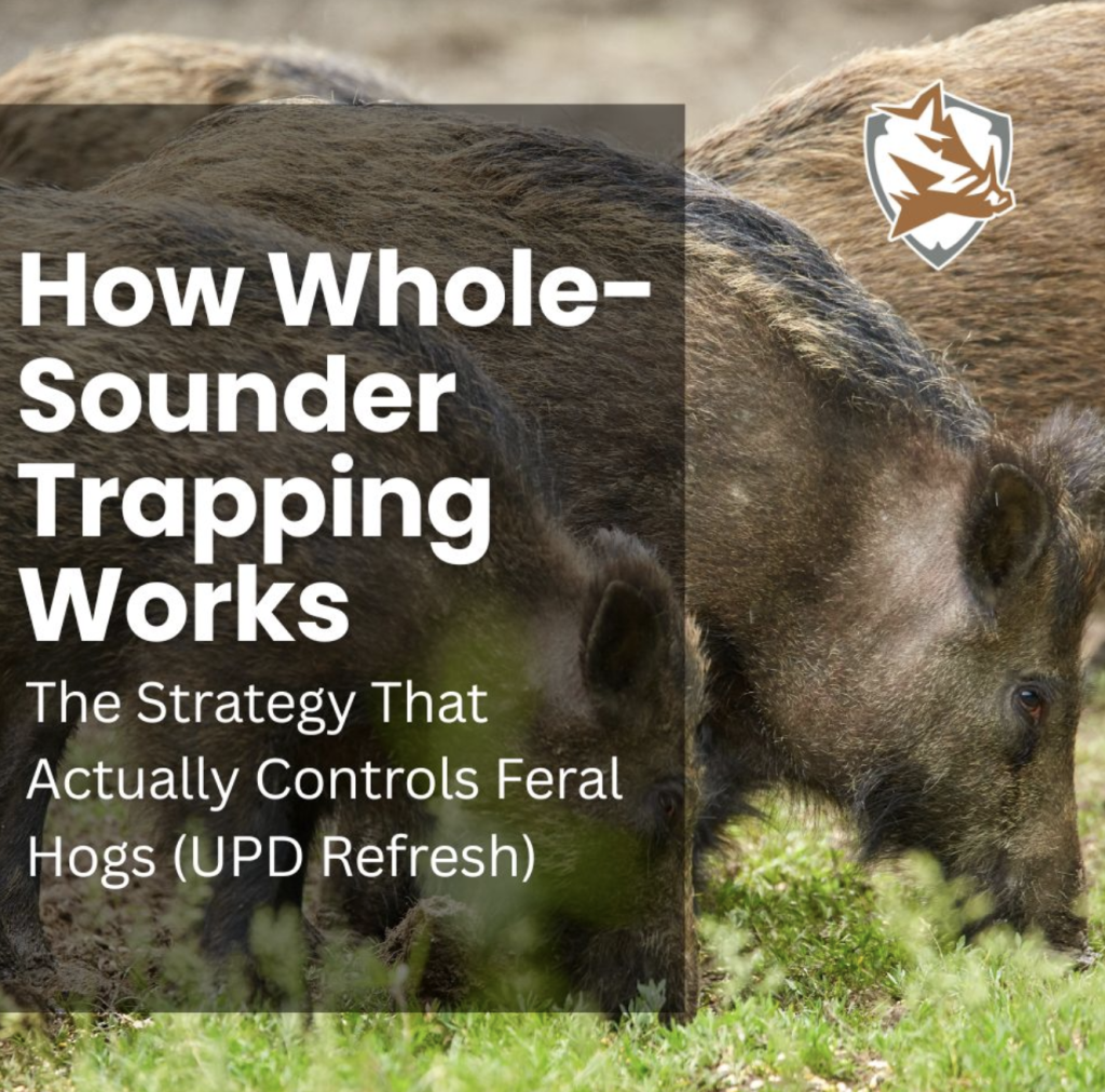 Cover image of two feral hogs with a dark overlay and the title 'How Whole-Sounding Trapping Works' and subtitle about controlling feral hogs.