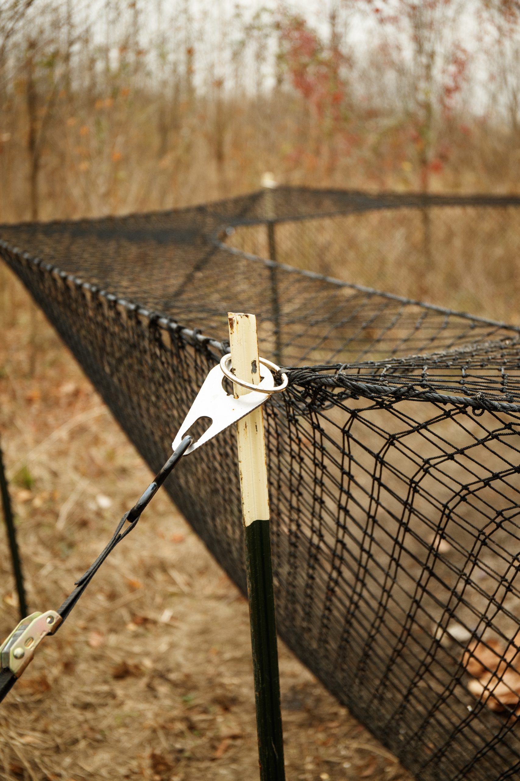 Boar Blanket net and T-post connection in the field
